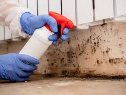 Best Environmental Consulting for Mold Prevention  in Schenectady, NY